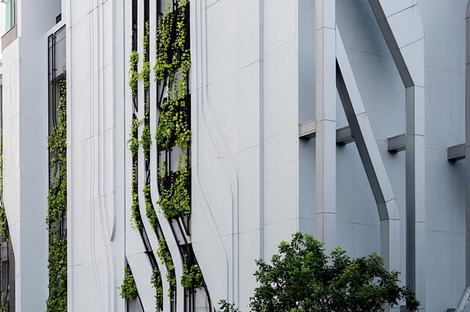 建筑立面的爬藤植物沿建筑立面设置的金属栅...