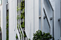 建筑立面的爬藤植物沿建筑立面设置的金属栅格，方便在曼谷气候下生长迅速的山牵牛向上攀爬，让白色简洁的建筑立面上多了一些绿色。
