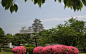 Asian architecture Japan Japanese gardens bushes flowers wallpaper (#2082304) / Wallbase.cc