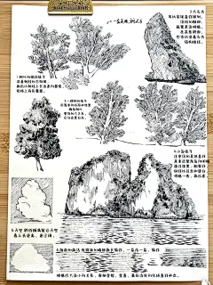 学习笔记43｜小岛 海面与树 - 小红书