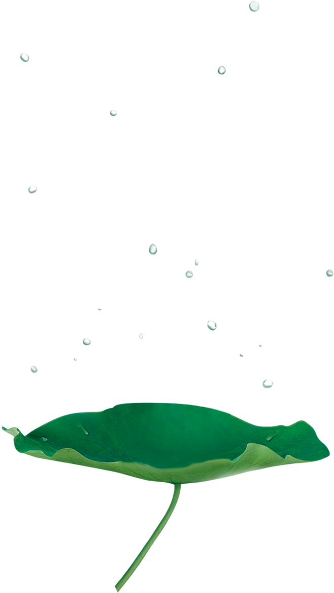 荷叶png@北坤人素材