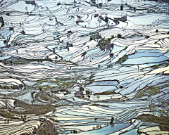 丸丸子要努力采集到背景