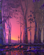 Asset Image