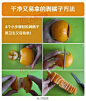 生活贴士：9种水果的切法大集合 (6)橘子