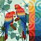 鸟包装插画-古田路9号-品牌创意/版权保护平台