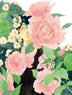 《花》系列插画_创意如此简单_新浪轻博客_Qing