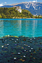 Lake Bled, Slovenia
 
--- 来自@何小照"的花瓣采集