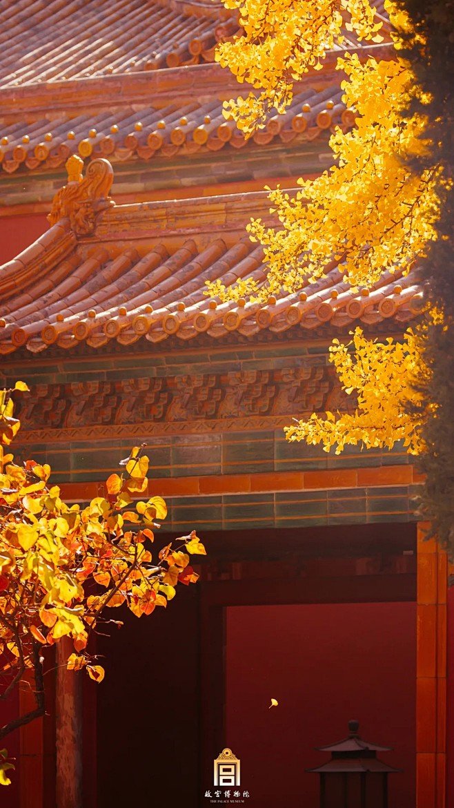光影之中，细数紫禁城的秋日气质

