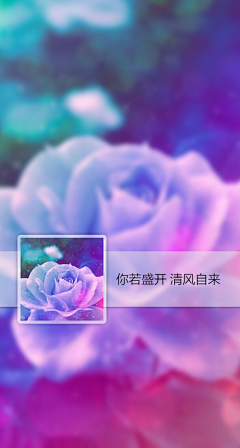 小花晴初展采集到初心