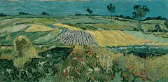 The Plain of Auvers / Wheat Fields near Auvers