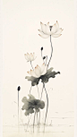 Download free image of Lotus flower painting drawing sketch. about watercolour lotus, aesthetic, aquatic plant, art, and background 13853904