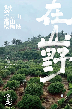青云花信采集到实景海报
