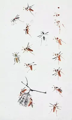 国画大师萧朗在教画时的画稿（禽鸟、草虫），收藏！_画法_萧老_先生 : 萧朗先生在长期花鸟画教学中，所掌握的花鸟画教学方法应有尽有。萧先生小写意画法的基本要领是突出一个“写”字，其每一笔都如写毛笔字那样充满了书法的神韵。他有时以墨为彩，有时以彩为墨，也有时彩墨混用，完全按实际的艺…