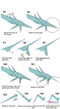 BrianChan折纸蝗虫手工DIY教程图解详细步骤10