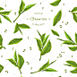 矢量绿茶无缝模式与透明茶壶，茶树叶和滴眼液。背景设计为绿茶，喝菜单、 顺势疗法和保健产品。最好的包装纸
