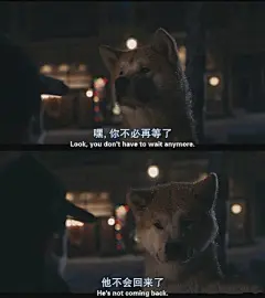采集图片