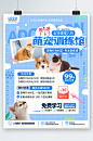 原创清新简约宠物训练行为纠正宣传海报蓝色