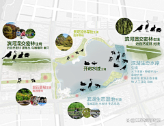 _戀ゞ紫冰玲つ采集到04专项分析图