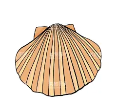 手绘贝壳插画  - 源文件下载【酷图网】贝壳,贝类,珍珠,矢量,贝壳矢量,彩色贝壳,贝,壳,卡通贝类,卡通贝壳,插画贝壳,装饰,多彩贝壳,海洋装饰,卡通海底,海洋生物,河蚌,小清新素材,装饰素材,贝壳素材,贝壳插画,贝壳装饰,手绘贝壳,扇贝,蚌壳,唯美贝壳,原创插画,贝壳组合,贝壳装饰素材,手绘素材