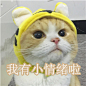 【资源】少女心qwq【表情包吧】_百度贴吧