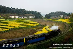【嘉阳小火车】二、伴着“蒸汽机时代”的老爷火车走进春天, 寰驽斋旅游攻略
