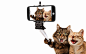 Cat Two Smartphone White background Animals Humor wallpaper | 6702x4189 | 996148 | WallpaperUP