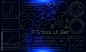 Set of Tribal User Interface Elements. Fantasy ethnic HUD. Good for game UI. Vector Illustration EPS10
