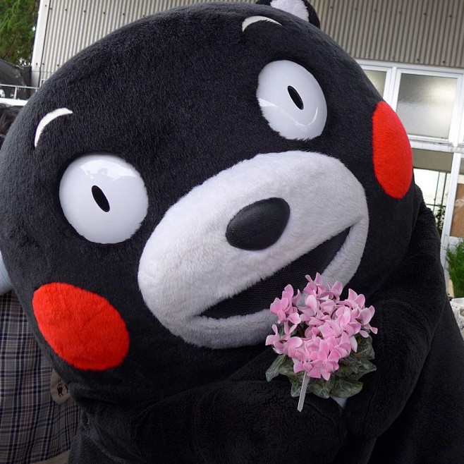 #熊本熊# #kumamon#