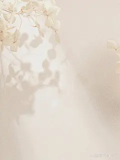 简约高级暖色感背景图|光影底图壁纸