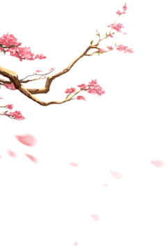 茶世采集到桃花