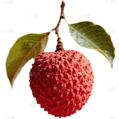 长安的荔枝实景感荔枝元素