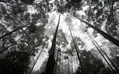 High-resolution desktop wallpaper Endor by giel