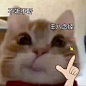 热门 - 热门微博 - 微博
