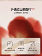 ubras2024新款红山茶提托侧收大胸显小内衣收副乳防下垂文胸罩女-tmall.com天猫