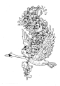 插画设计 Kerby Rosanes ​​​​