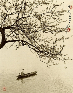 Kimming采集到风光摄影——国画风