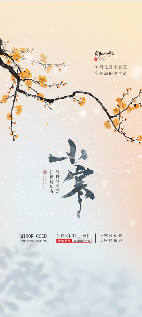 地产小寒节气简约大气海报