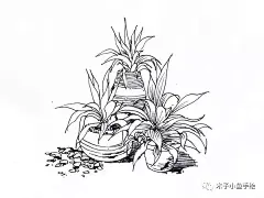 园林景观手绘｜植物线稿50张 : 微信公众号：木子小鱼手绘 这是园林景观手绘第三篇。 整理了植物线稿50张。依次是地被植物，盆栽植物，乔木，灌木，针叶类，棕榈类植物和小景。 1。地被植物，长草的线稿。 2。盆栽植物线稿。 3。乔木的线稿。 4...