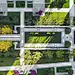 摩登花园，凝萃都会艺术 | 郑州万科·民安江山府 : 都市中的摩登花园，城市精英的精神领地