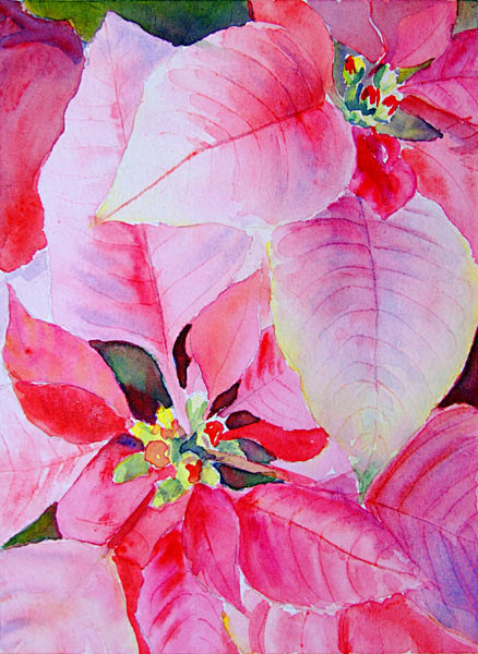 Poinsettia Christmas...