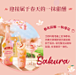 【李子璇同款】百利甜酒Baileys樱花白桃味700ml爱尔兰进口力娇酒-tmall.com天猫