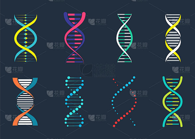 DNA，基因标志，元素和图标收集。分离的DNA符号的象形图。Dna向量。