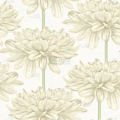 无缝背景与米色大丽花。