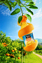 Behance上的Minute Maid Tree