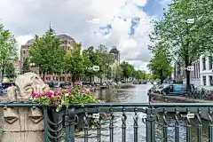 阿姆斯特丹 运河 花朵 结构 荷兰 美丽的花朵 自然 花壁纸