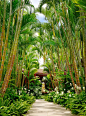 de Reus Architects - luxury residence Tropical craftsman garden