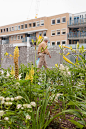 Blooming City Nieuwegein by Bureau B+B