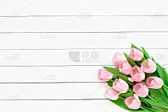白色木质背景上的一束粉红色郁金香。俯视图，复制空间