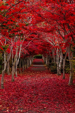 ~素颜采集到风景宜人