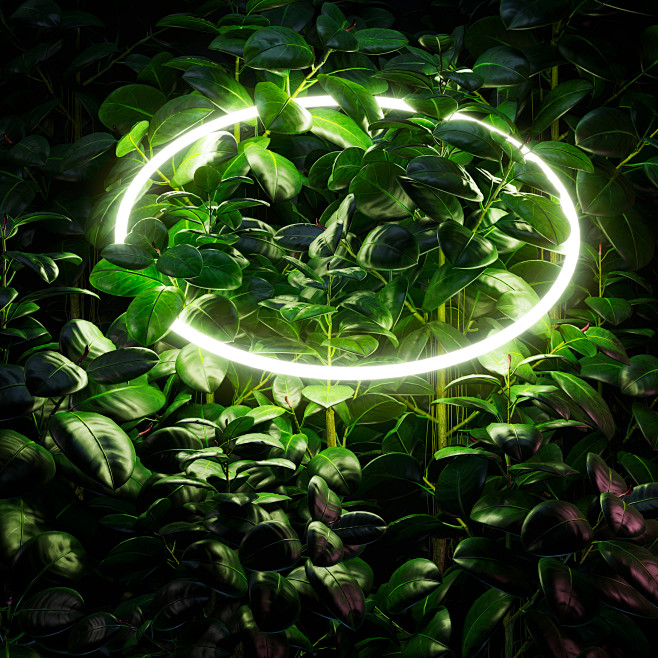  绿色植物背景底纹 大图素材灯光树叶